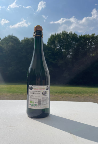 Pétillant pomme citron bio 🍋